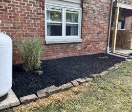 flower bed under a window