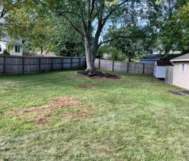 large grassy back yard