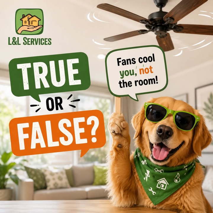 L&L Services Inc